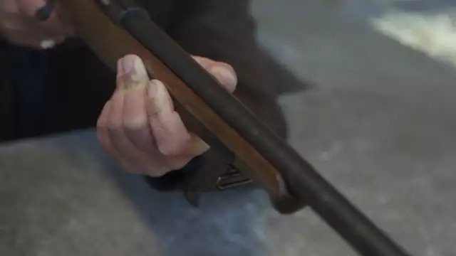 The Steyr Arms Zephyr II Rifle