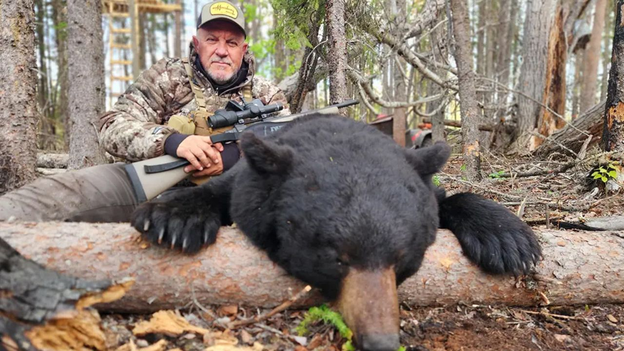Mossberg Spring Bear Hunt Canada Sights and Sounds