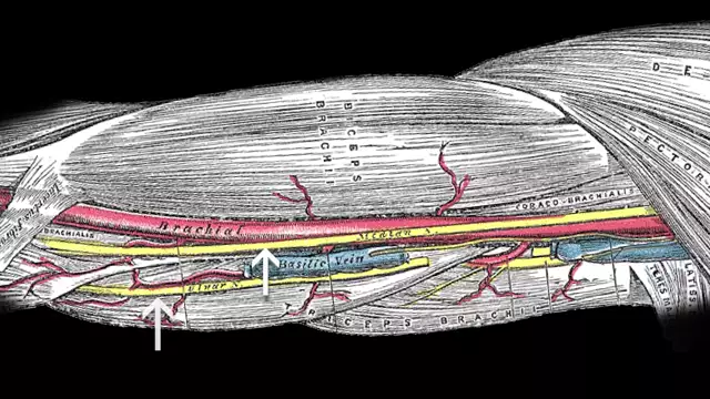 Street Smarts: Three Levels of Knife Stopping Power with a Small Knife