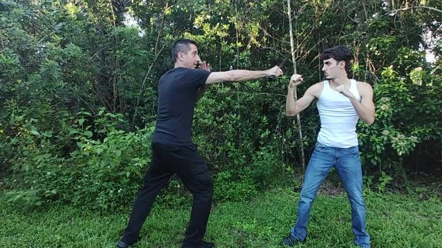 The Protectors' Playbook: Testing the Nextorch Baton