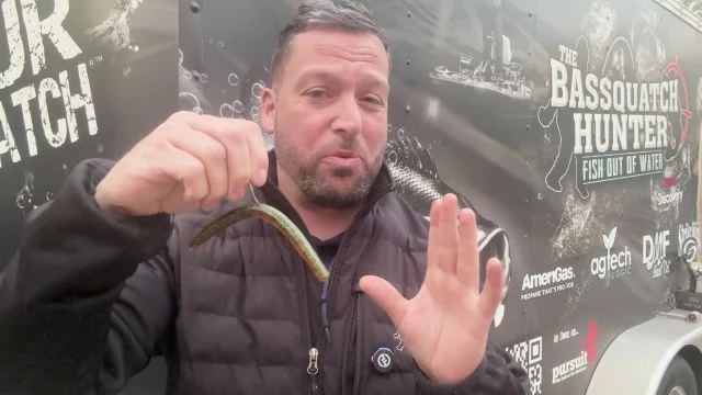 If You Could Only Choose One Bass Bait, Which Would You Choose?