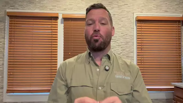 Live Bait Vs Artificial: What Is Better For Ice Fishing?