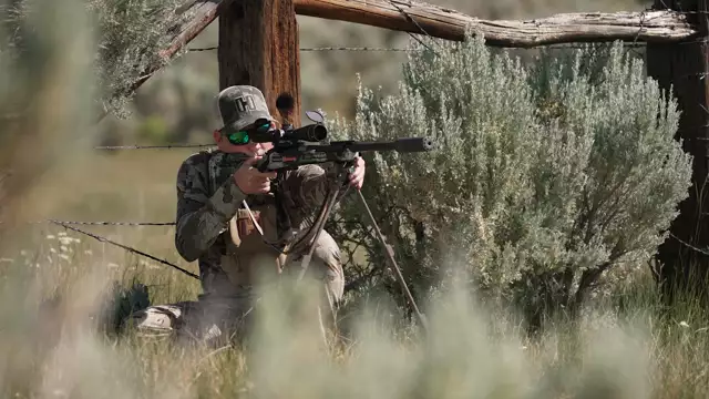 Hornady's .22 Creedmor