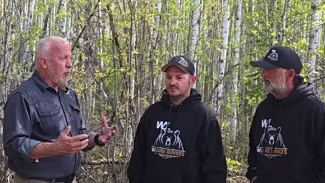 Black Bear Basics