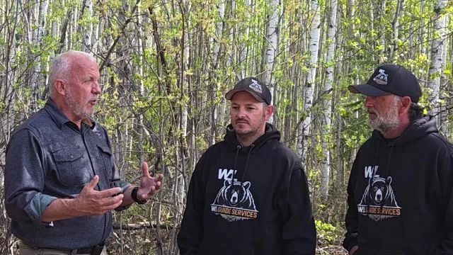 Black Bear Basics